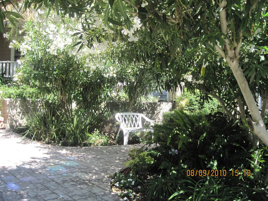 Side Garden
