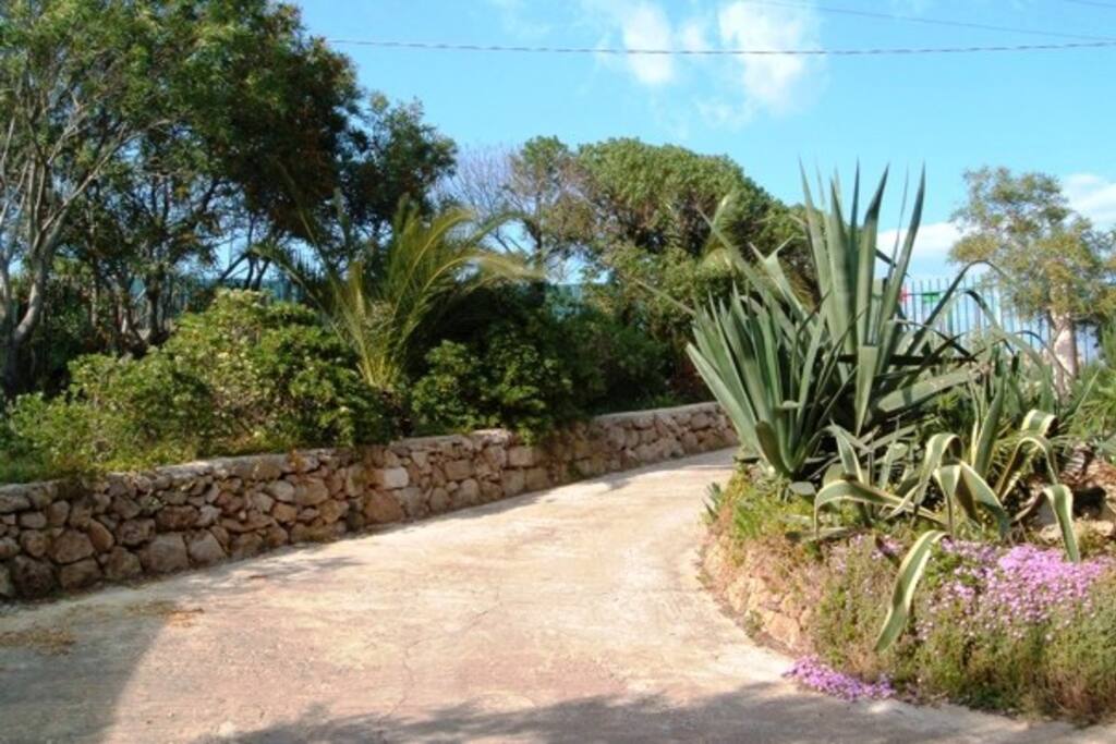 Scorcio del giardino mediterraneo