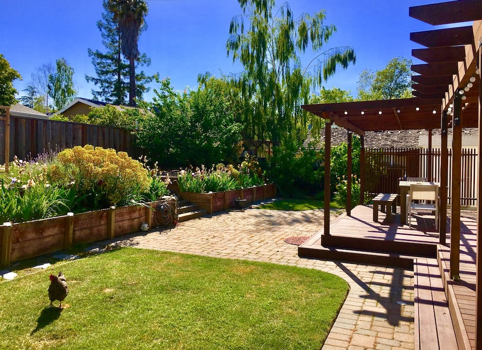 Our backyard with a sunny deck to enjoy a French Breakfast !