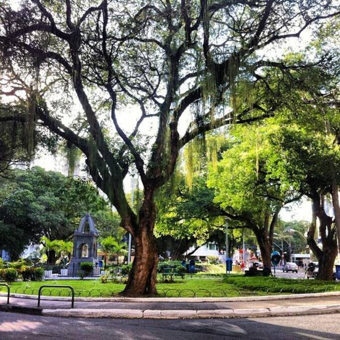 Largo da Graça