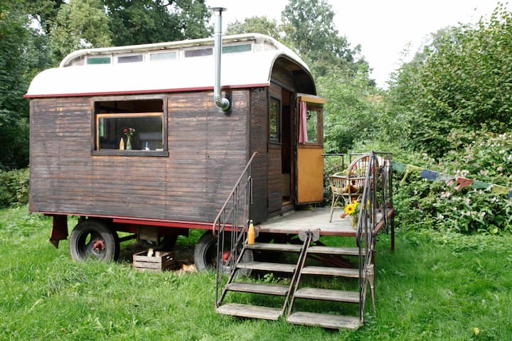 Insider tip, beautiful little circus wagon