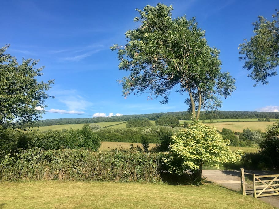 View from the front garden