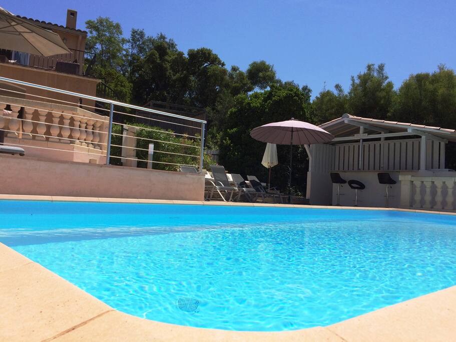 The Pool with chat & chill poolside bar