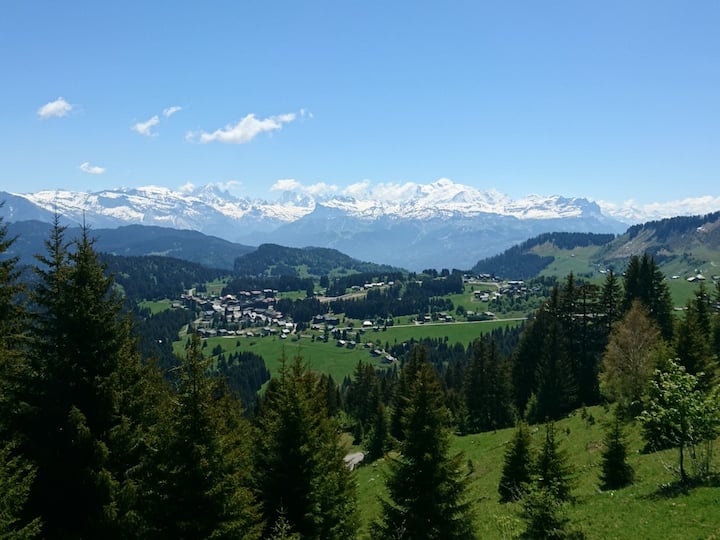 Studio 4 Pers. à La Montagne-le, Le Praz De Lys - Taninges