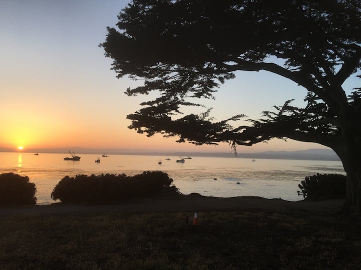 Pacific Grove Vacation Rentals & Homes California, United States Airbnb