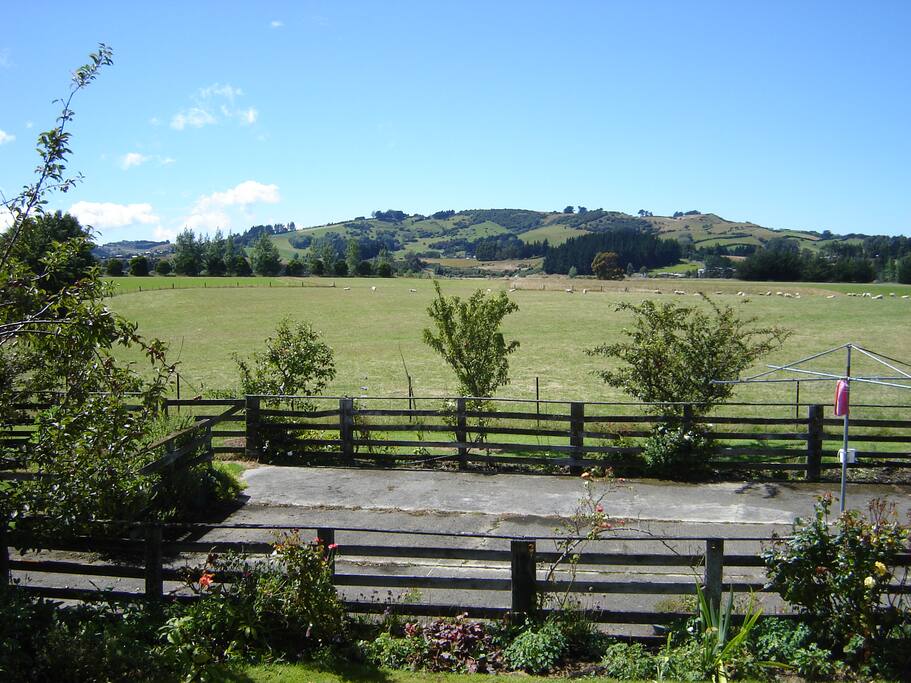 view from the deck