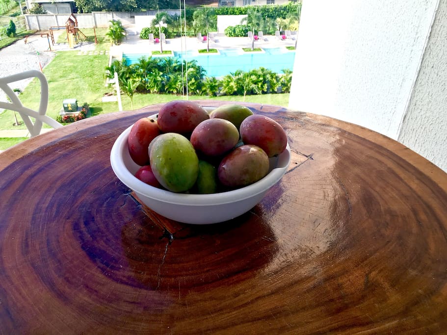 Mangos from the neighborhood trees.