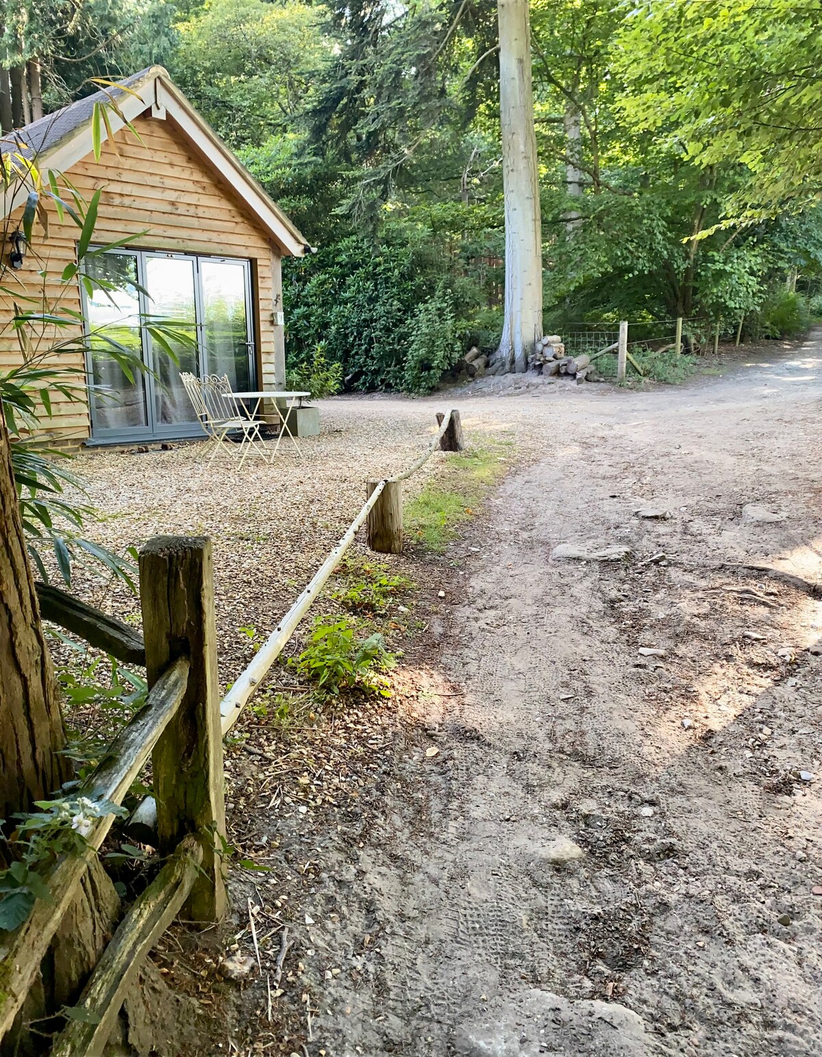 A timber-framed annex is seen surrounded by nature, with a gravel pathway leading toward it. The large glass doors reflect the greenery outside, while a pair of outdoor chairs is positioned on the patio. Tall trees provide shade and contribute to a serene setting.