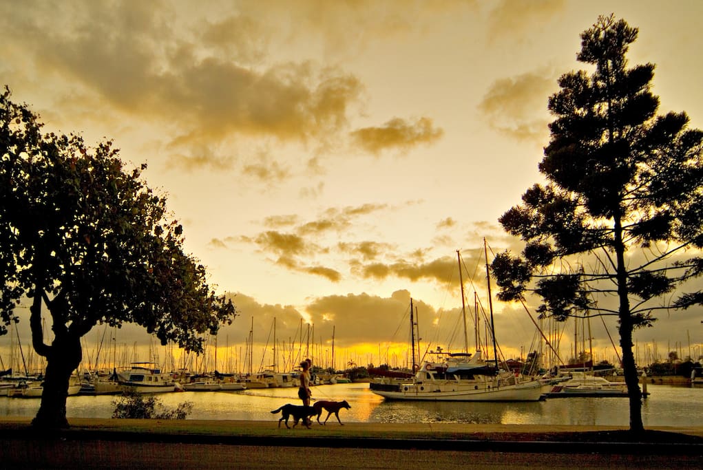 Manly Esplanade at Sunset