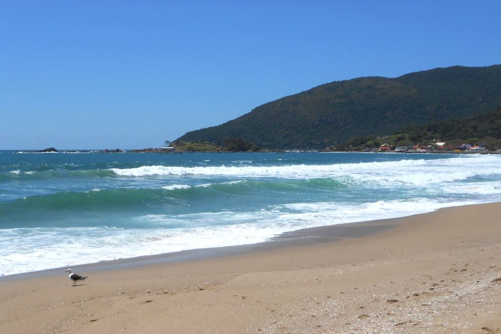 Praia da Armação