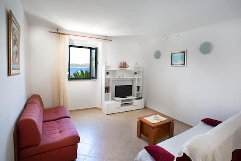 Successful Airbnb property: Apartment Nika Lopud in Suđurađ