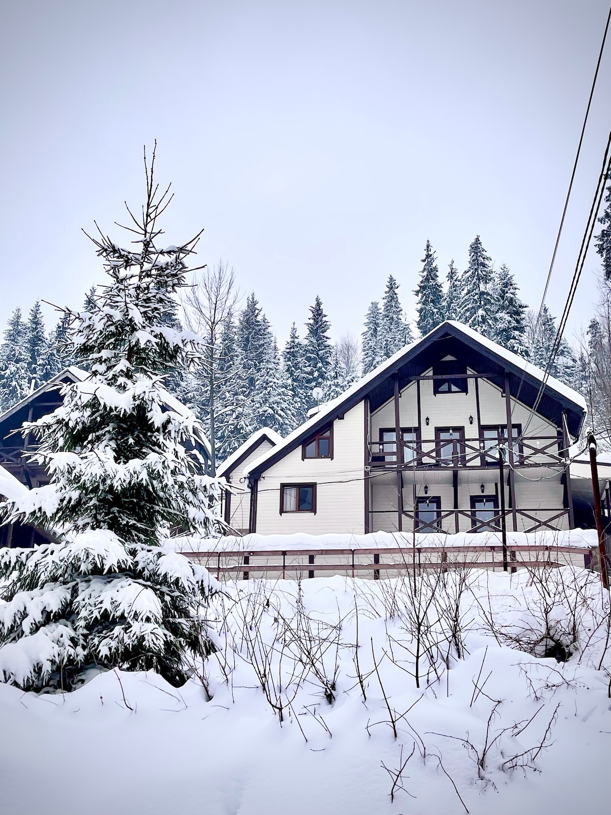 A winter landscape features a three-story chalet surrounded by snow-covered trees. The building displays a harmonious blend of dark and light wood accents, with large windows inviting natural light. The outdoor area is adorned with fresh snowfall, creating a serene atmosphere.