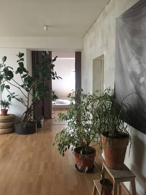 in the living room