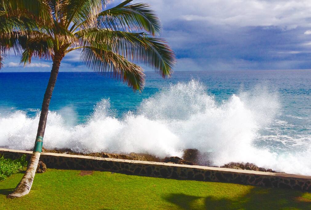 Backyard ocean spray- salty hair, don't care!