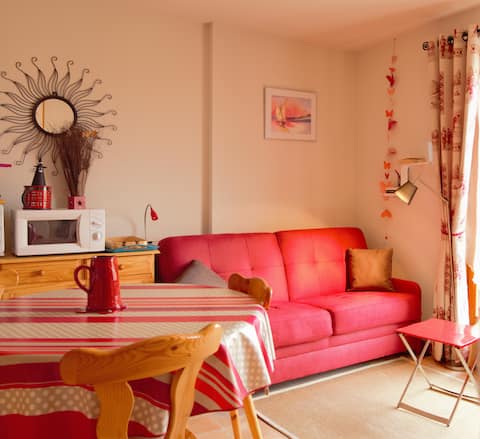 Successful Airbnb property: 2 rooms, beautiful terrace, Wi-Fi, parking in Thollon Les Mémises