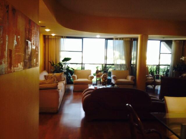 Top Floor Apartment: Amazing Ocean View gallery image 5