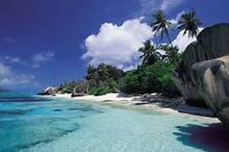 Dovetta's Fruit Garden 1