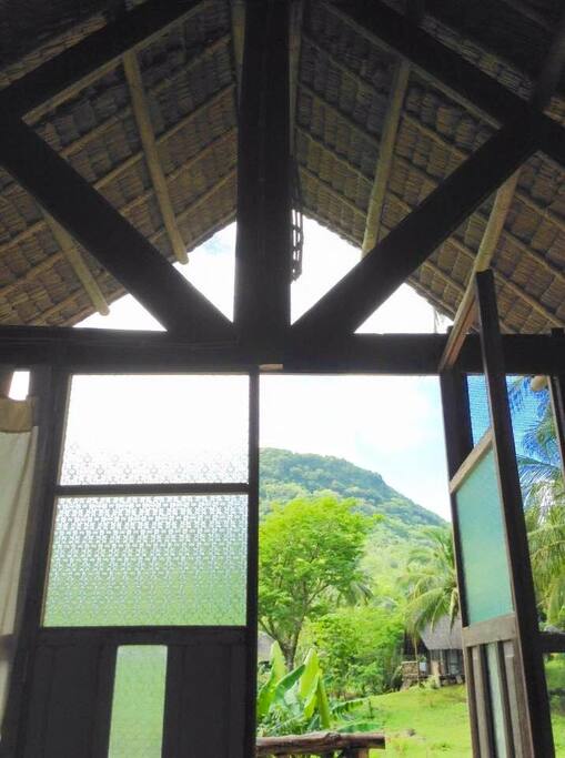 Belya view