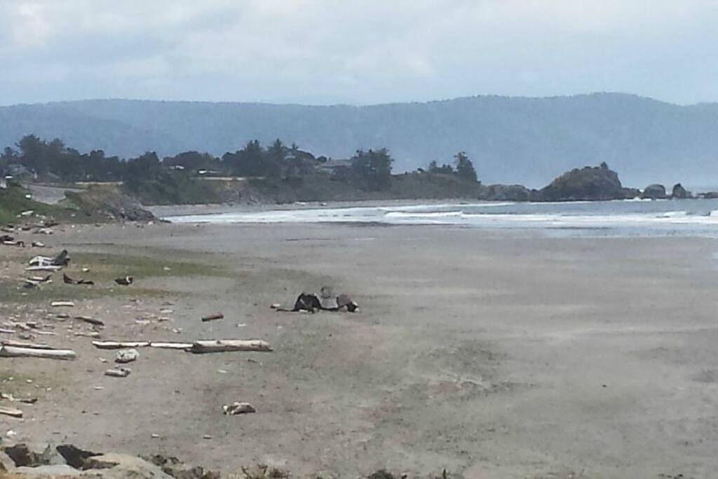 Beach view steps away from the backyard