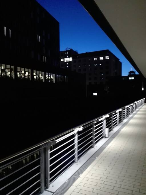 Night View 02
