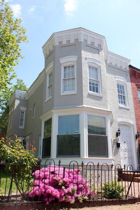 Enjoy the entire main floor and basement, enter through doors on the right