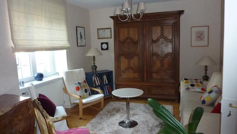 Top Airbnb: Cozy apartment 15 minutes from downtown à Robertsau