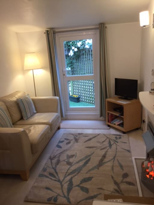 cosy lounge area with freesat tv and electric fire