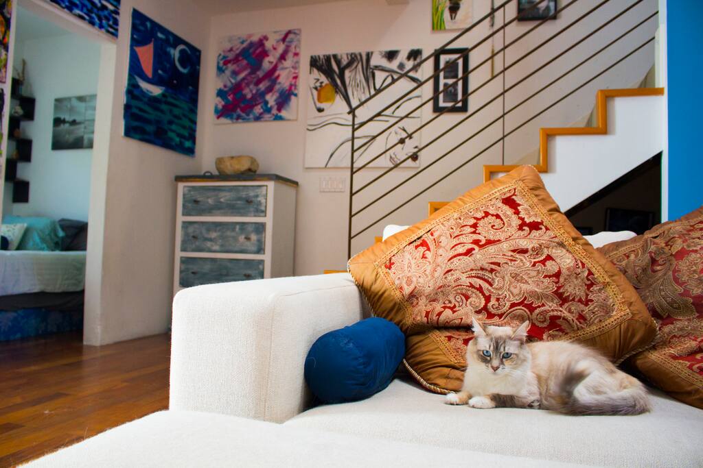 Our Cozy now features a dresser for extra storage space