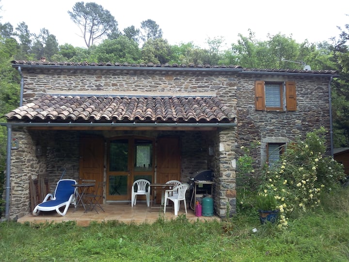 charming house in cévennes national park Houses for Rent in