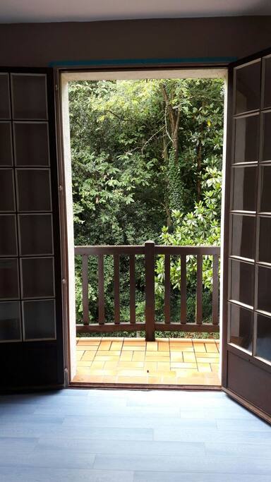 Chambre ouverte sur la forêt