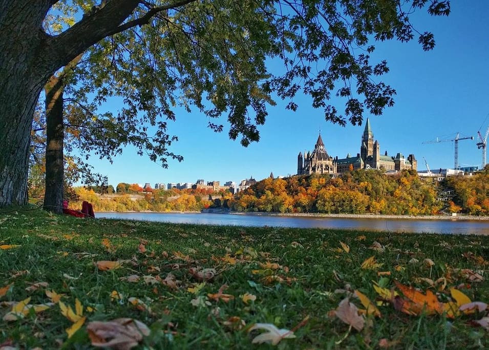 The view from the Sentiers Voyageurs bike path near the Museum of History