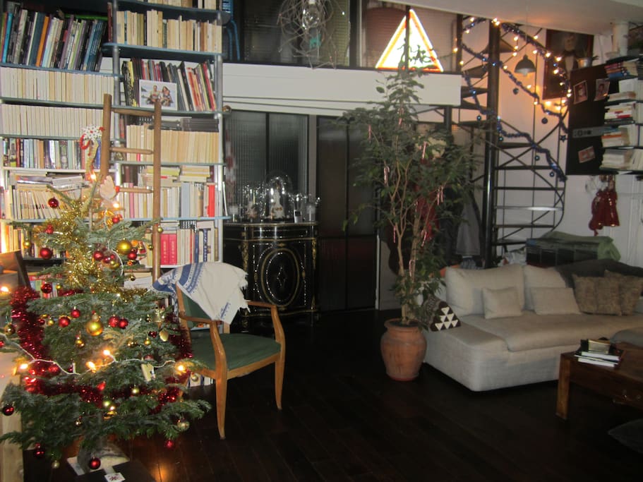 50 m2 sous verrière en Rdch: salon + salle à manger + cuisine américaine