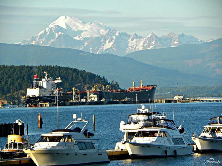 A view of Fidalgo Bay features several boats docked in the foreground. Snow-capped mountains rise in the background, providing a serene backdrop to the bustling marina. The calm water reflects the natural landscape, contributing to a peaceful waterfront scene.
