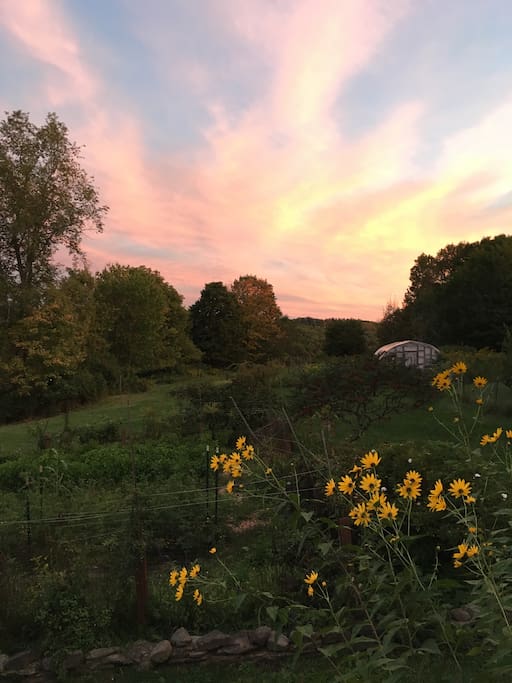 Sunset on the farm
