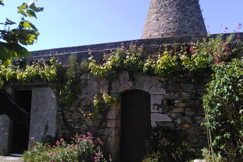 Le moulin