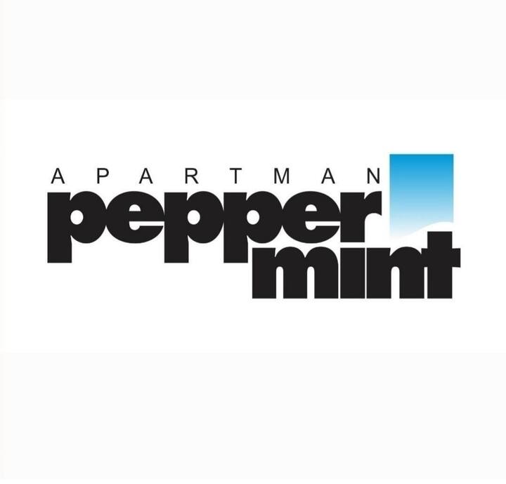 Apartment Peppermint Condominiums for Rent in Novi Sad, Vojvodina