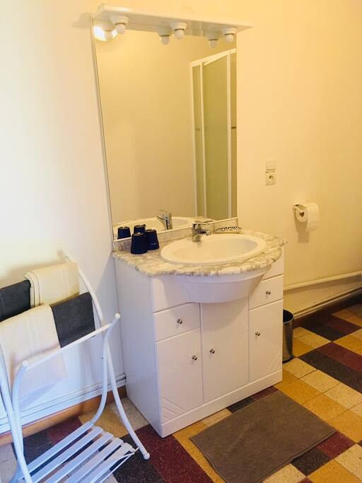 Salle de douche et toilette