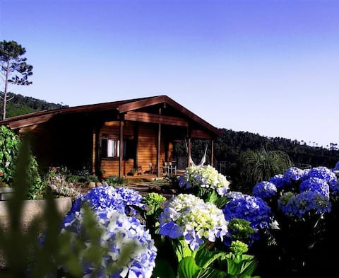 Airbnb em destaque: Casa do Sol Poente - Ponta do Pargo - 25608/AL em Ilha Da Madeira