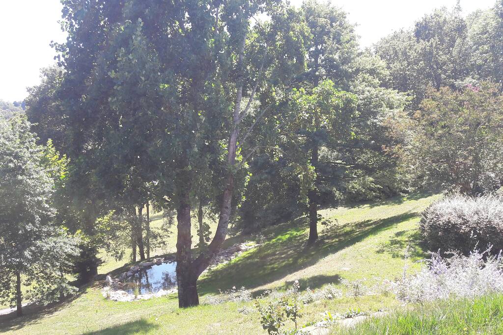 Bassin naturel, plantes et poissons