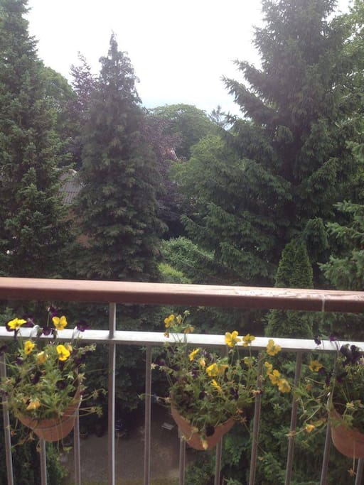 View from the balcony