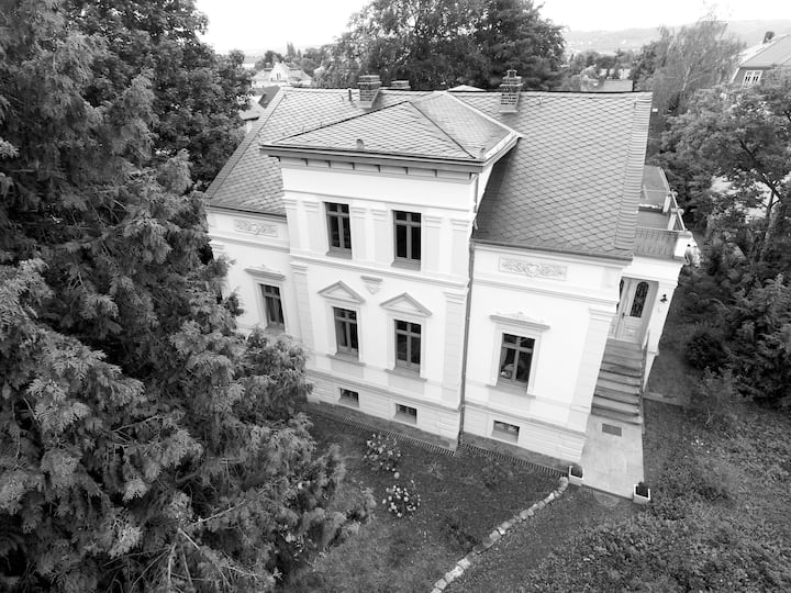 Villa Thuja - 01 Earl Brhl - Villas for Rent in Radebeul, Sachsen, Germany  - Airbnb