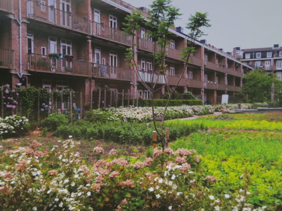 Vieuw from the balcony at flowering garden inside the block
