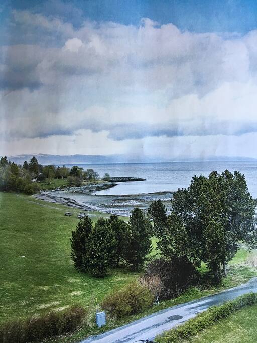 Green surroundings with trees and long jogging/walking trail along the seashore