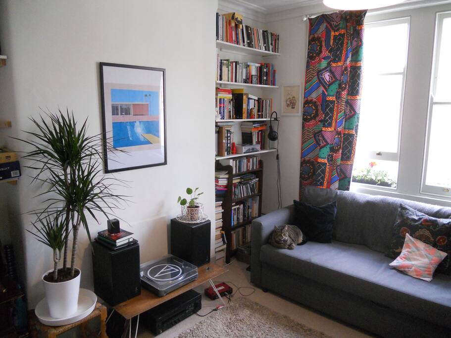 Living Room - Sofa pulls out in to a large double bed (Spot Amelie the cat!)