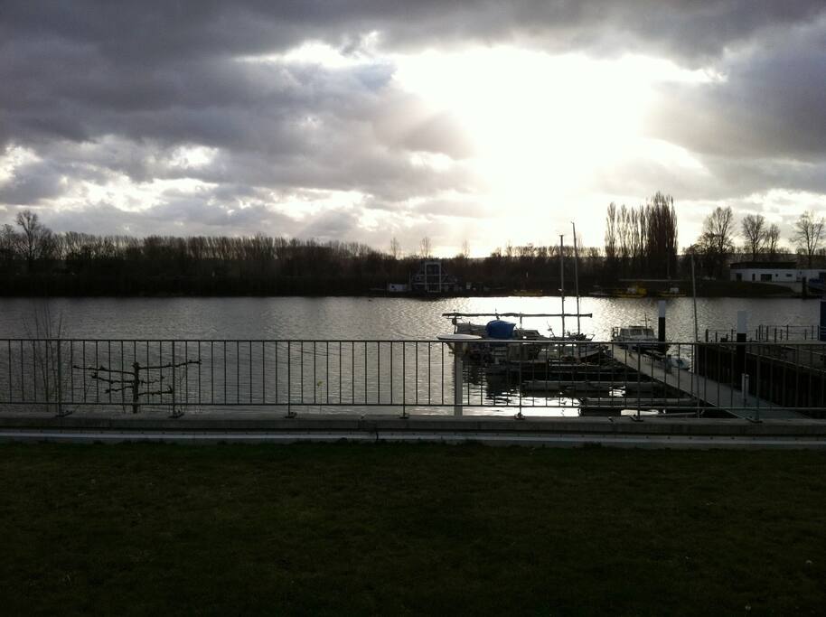 The river Rhein