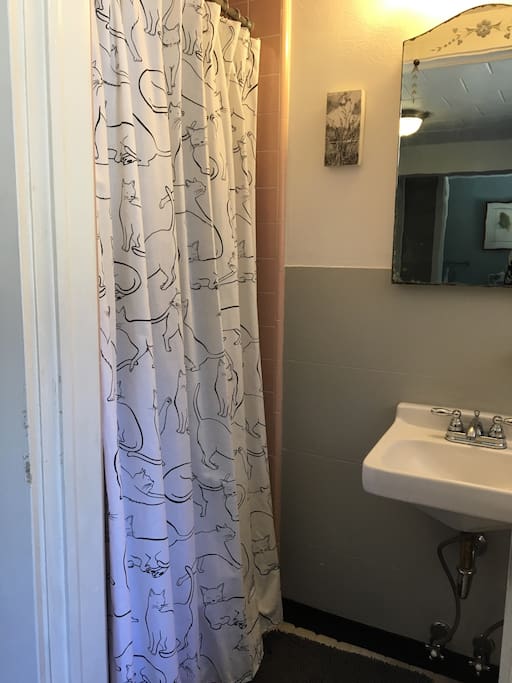 Retro bathroom