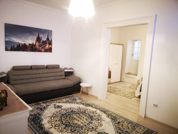 Selena Apart Apartments For Rent In Brașov Bv Romania