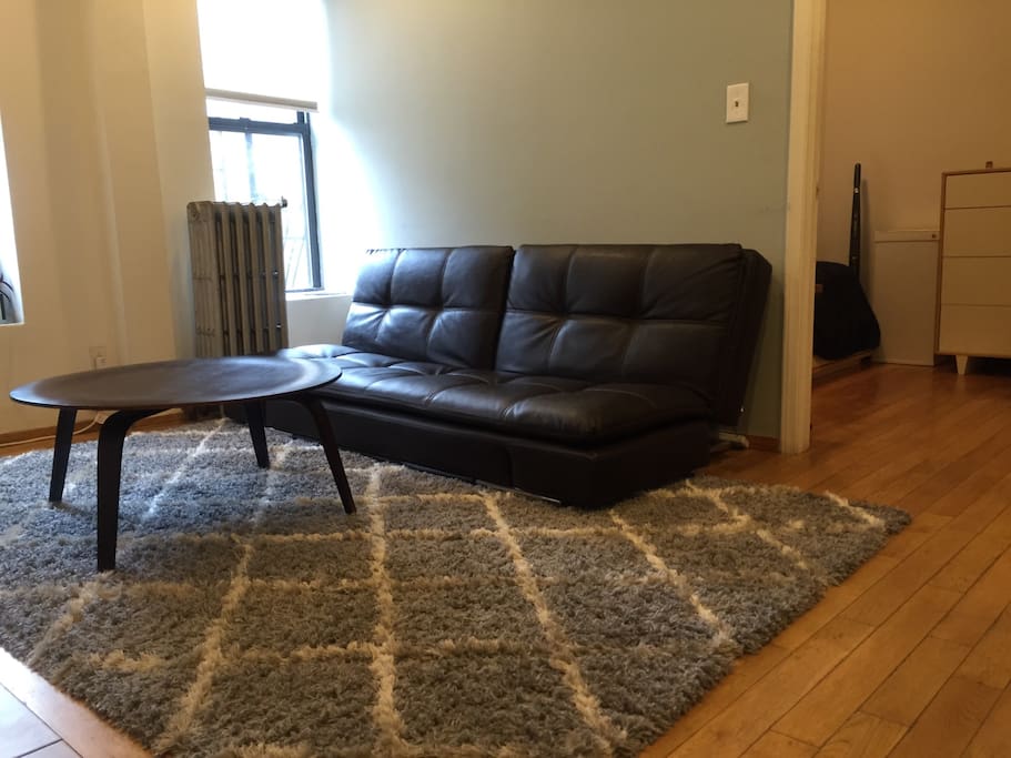 Living room with sofa (converts to bed with sealy Serta mattress)