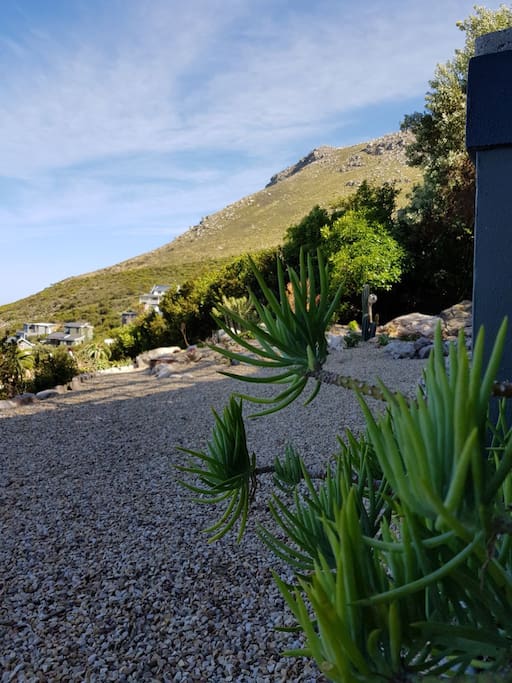 Unobstructed mountain views from the downstairs garden (and from the balcony)!