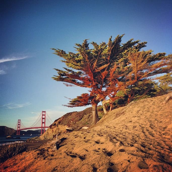 Presidio semtinde Baker Beach adlı yerin fotoğrafı